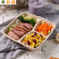 Biologisch abbaubare Zuckerrohrbagasse -Behälter Bento Lunchbox